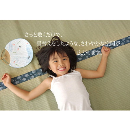 純国産 双目織 い草上敷 『ほほえみ』 江戸間4.5畳（約261×261cm）