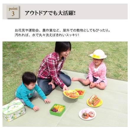 洗える PPカーペット 『五木』 江戸間8畳（約348×352cm）