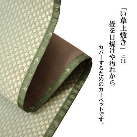 フリーカット い草 上敷き カーペット 『F不知火』間6畳(約261×352cm)(裏:ウレタン張り)