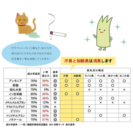 玄関マット 室内 70×120 国産い草 「Fカラフルブロック」 約70×120cm