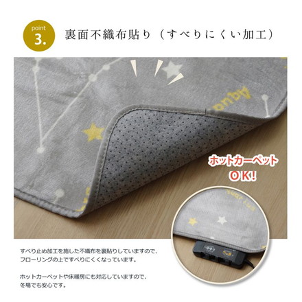 抗菌・防臭 ウォッシャブル フランネル ホットカーペットカバー 『WSミリオン
