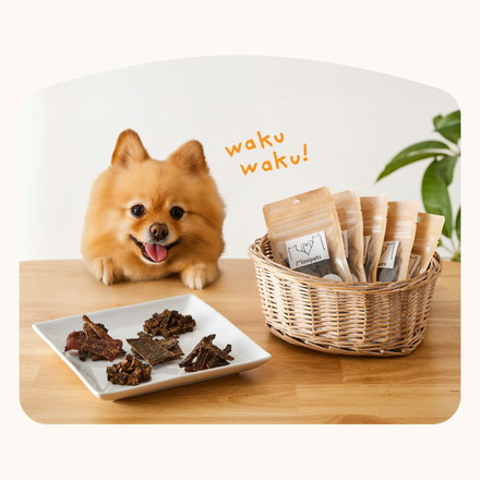 犬用 おやつ 食べ切りサイズ 無添加 お肉 お魚 日本製 国産 犬用おやつ ご飯 mimipets パリパリしゃけ