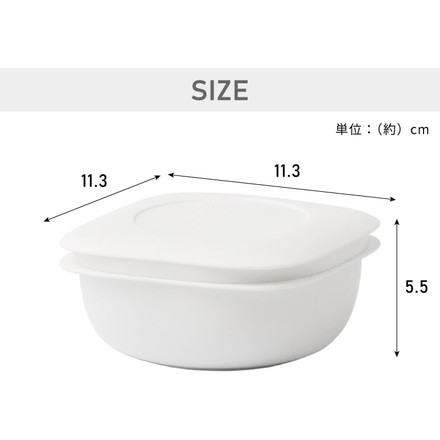 ライクイット (like-it) 蒸気であたためる冷凍ごはん容器 LBK-21 クリア 幅11.3×奥11.3×高5.5cm 一膳分(160~200g) グレー