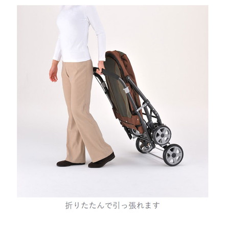 ボンビアルコン ペット用 大型 バギー 折りたたみ スロープ付 耐荷重30kg ペットカート レッド