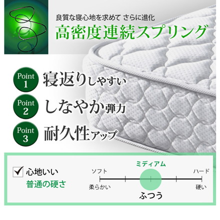 フランスベッド ツインサポートスプリングマットレス ダブル 高密度連続スプリングマットレス 防ダニ 抗菌 防臭 寝具