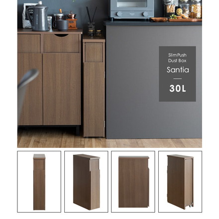 ゴミ箱 スリムダストボックス 幅17cm Santia サンティア プッシュ式 30リットル ワンプッシュ ホワイト