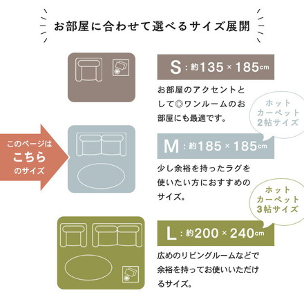 洗える オールシーズン 極厚ラグ 185×185 2畳 厚み25mm 防ダニ 抗菌防臭 超極細フランネル ラグマット 滑り止め付 マット ラグカーペット ブラウン