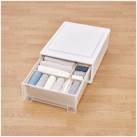  天馬 収納ケース Fits フィッツケース 53-39S WC(ホワイトクリア)