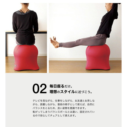 ジェリーフィッシュチェア 無地タイプ バランスボール エクササイズ デザインチェア イス 椅子 フィットネス ブラック