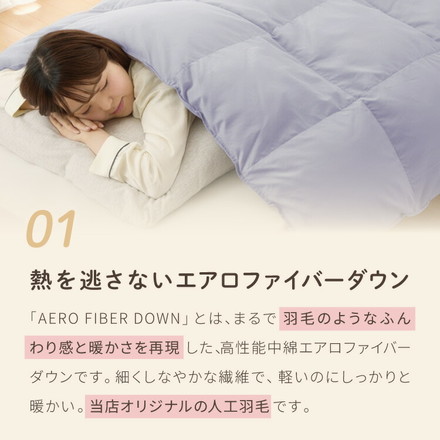 掛け布団 シングル セミダブル ダブル 単品 抗菌 防臭 エアロファイバーダウン フィルケア テイジン TEIJIN 帝人 ペールブルー シングル