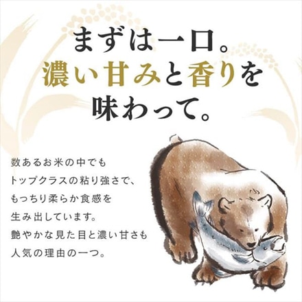 北海道産 アイリスの低温製法米 ゆめぴりか 20kg(5kg×4袋) 令和6年度産