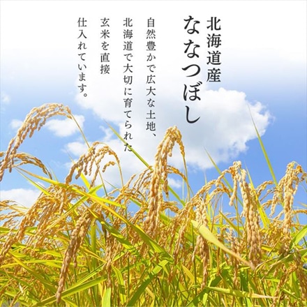 北海道産 アイリスの低温製法米 ななつぼし 20kg(5kg×4袋) 令和6年度産