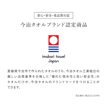 アイリスオーヤマ ボリュームタッチバスタオル 4枚セット BT-V4 アイボリー