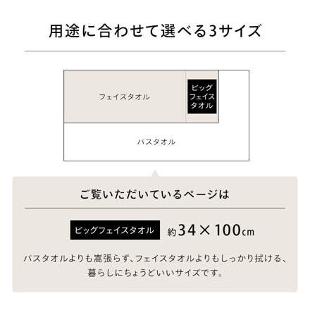 アイリスオーヤマ ビッグフェイスタオル 2枚セット BFT-2 ライトグレー