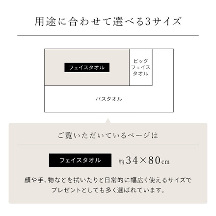 アイリスオーヤマ デイリーフェイスタオル 4枚セット FT-D4 ホワイト