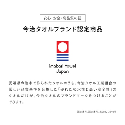 アイリスオーヤマ ガーゼ＋パイル ビッグフェイスタオル 4枚セット BFT-G4 ホワイト