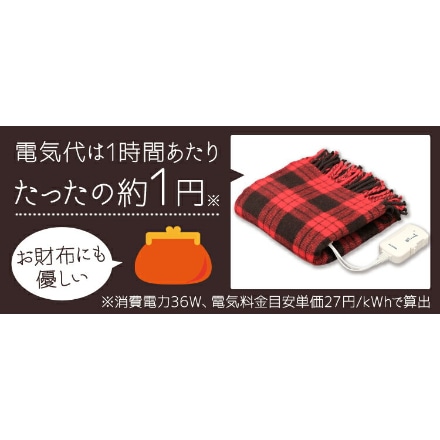 アイリスオーヤマ 電気毛布 ひざ掛け 80×120cm EBK-1208-ZR レッド
