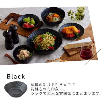 アイリスオーヤマ 食器 5点セット MNW-5S ブラック