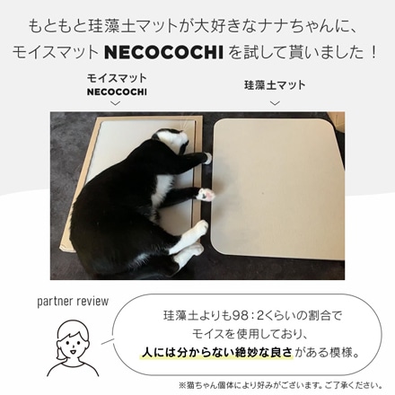 アイリスオーヤマ NECOCOCHI（ねここち） NCC-45 ナチュラル