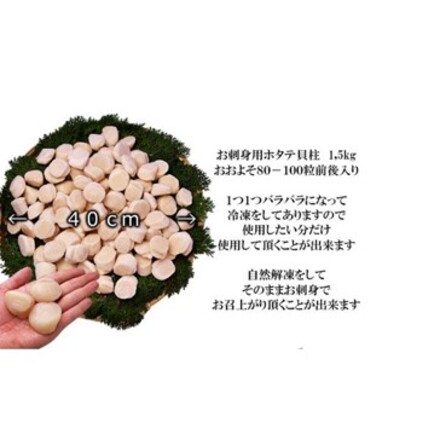 北海道産 刺身用 ホタテ 1.5kg ほたて貝柱