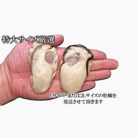広島県産 大粒牡蠣 3kg（カキ1kg×3パック） かき剥き身