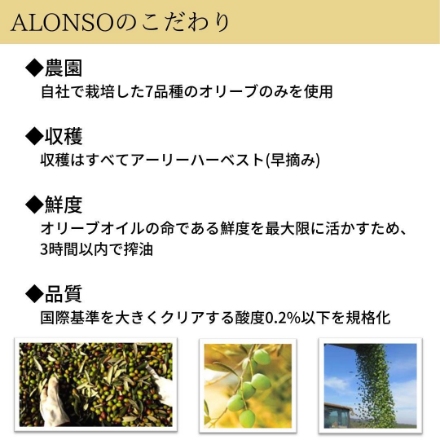 エキストラバージンオリーブオイル ALONSO(SPECIAL BLEND） F-OLVL249048B