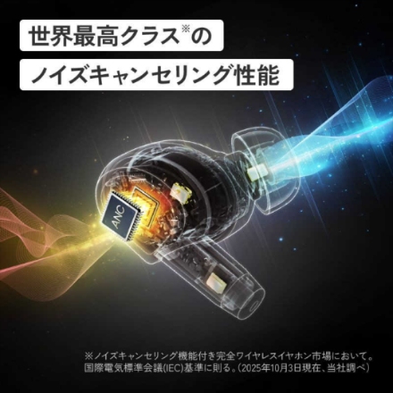 JVC イヤホン Victor WOOD master HA-FW5000T-B ピアノブラック