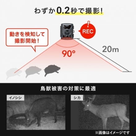 サンワサプライ 連続録画機能付きトレイルカメラ CMS-SC07BK ブラック