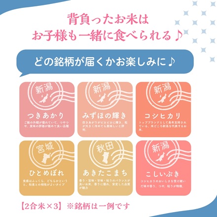 一升餅・一升米ミックス 8点セット 選び取りカード 1歳 誕生日 お祝い 小分け メモリアルカード 餅踏み 踏み餅 誕生餅 (和モダン)