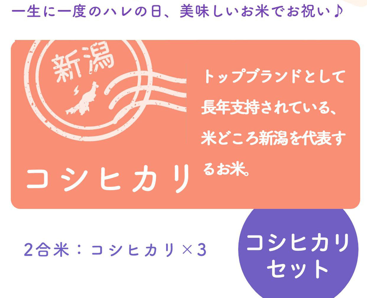 一升餅・一升米ミックス 11点セット 選び取りカード 1歳 誕生日 お祝い 小分け メモリアルカード 餅踏み 踏み餅 誕生餅 (ニュアンス)(ニュアンス)