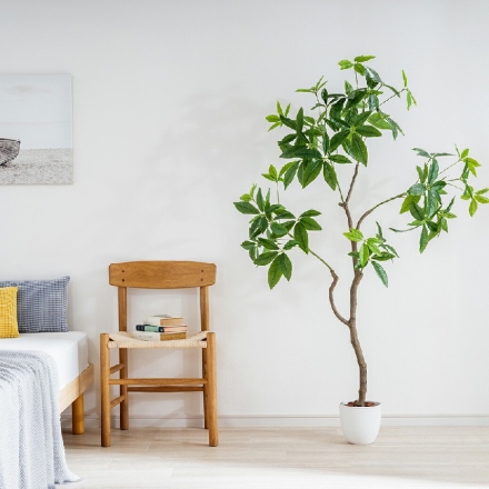 人工観葉植物 パキラ 光触媒 フェイクグリーン