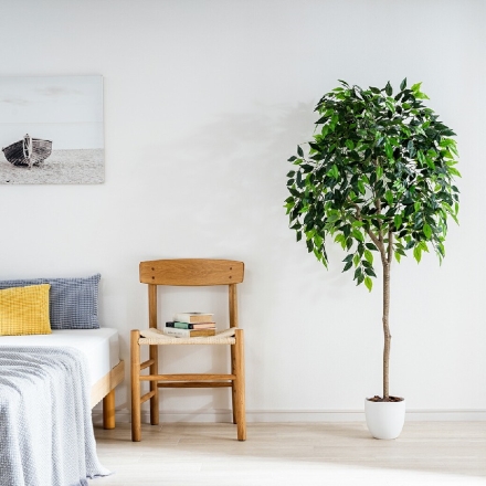 人工観葉植物 ベンジャミン 光触媒 フェイクグリーン