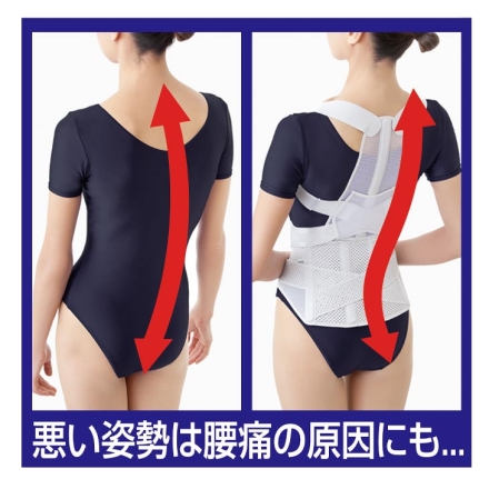 日本製 お医者さんの腰から正す姿勢ベルト M～L