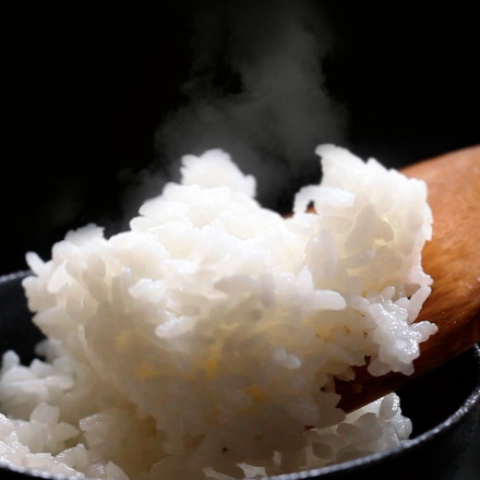 精米機 道場六三郎氏監修 家庭用 匠味米 無洗米 対応 玄米 白米 精米 コンパクト ホワイト