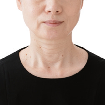 フォーマルネックカバー2枚組 ネックカバー 簡単 付け襟 フォーマル レース ハイネック