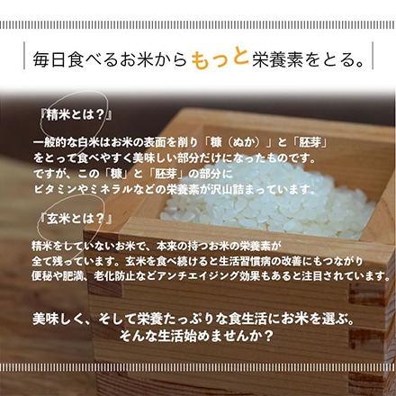 新米 三重県産 コシヒカリ 5kg 白米 令和6年産