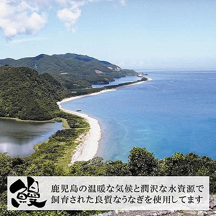 うなぎ 蒲焼 特大 1尾 タレ山椒付き 鹿児島県産 鰻 熨斗なし