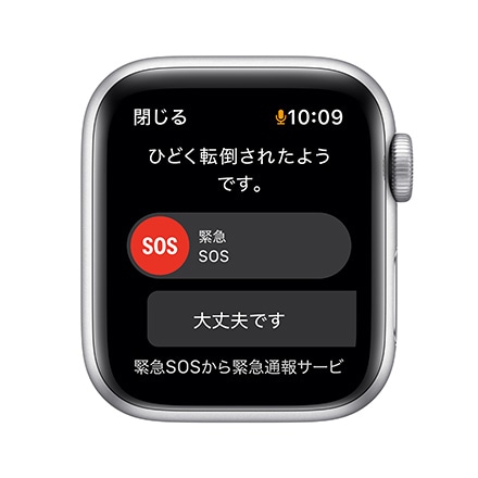 Apple Watch Nike SE（GPS モデル）- 40mmシルバーアルミニウムケースとピュアプラチナム/ブラックNikeスポーツバンド - レギュラー with AppleCare+