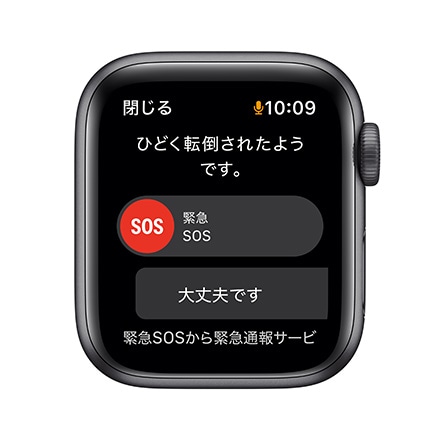 Apple Watch Nike SE（GPS モデル）- 40mmスペースグレイアルミニウムケースとアンスラサイト/ブラックNikeスポーツバンド - レギュラー with AppleCare+
