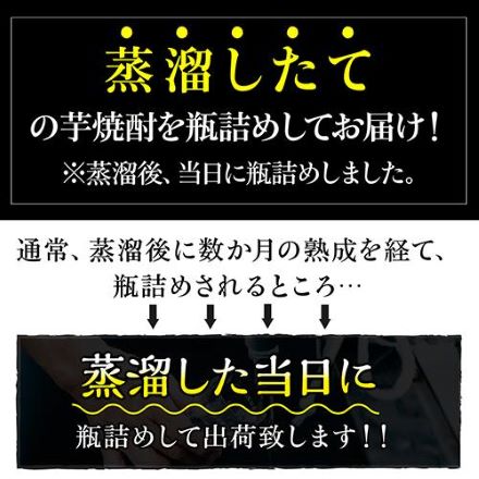 蔵人だけのお楽しみ 超濃厚仕立ての芋焼酎 25度 1.8L 瓶 3本 鹿児島県 天星酒造 いも焼酎 1800ml 長S