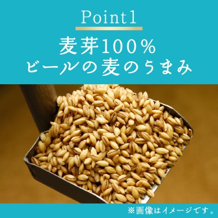 キリンビール 晴れ風 500ml 48本（24本×2ケース) 長S