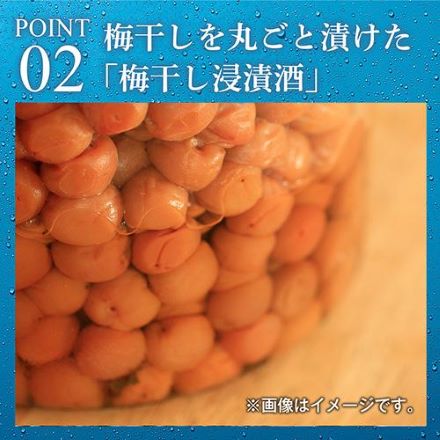 キリン 上々 焼酎ソーダ 梅 350ml缶×24本 長S