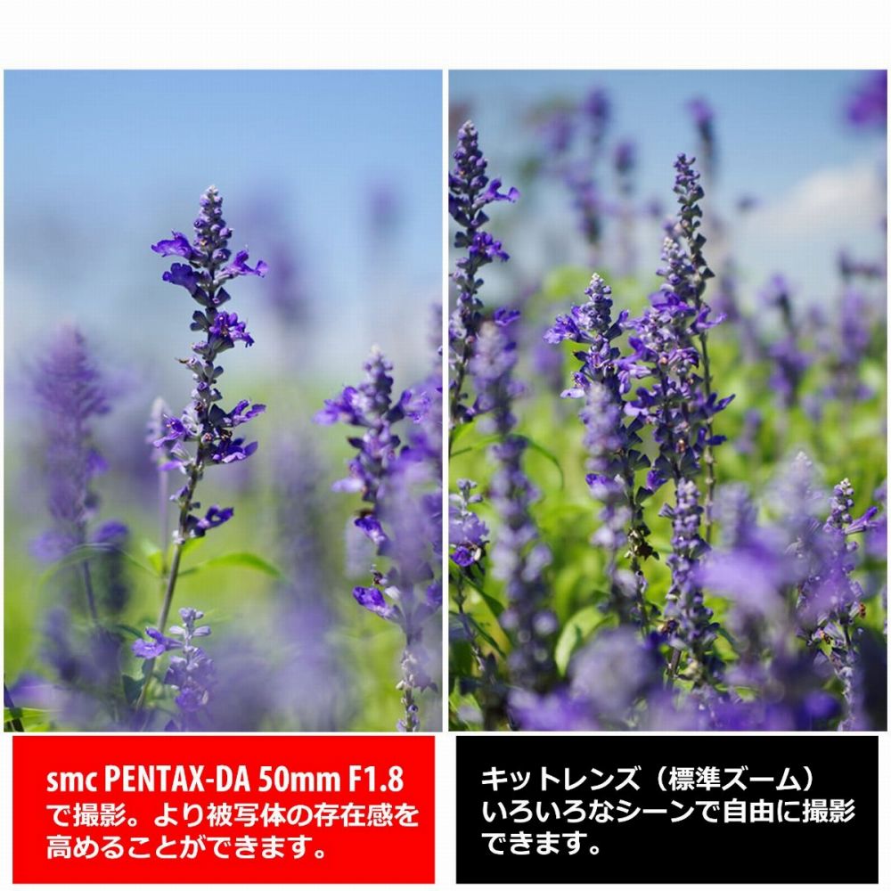 ペンタックス 中望遠レンズ SMC PENTAX DA 50mm F1.8 Kマウント用