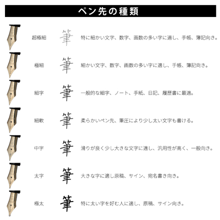 プラチナ万年筆 #3776 センチュリー PNB-15000 #2 シュノンソーホワイト 中字 M