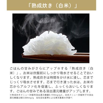 象印 炊飯器 3合炊き 小容量 IH炊飯ジャー 極め炊き NP-GS05-XT ステンレスブラウン