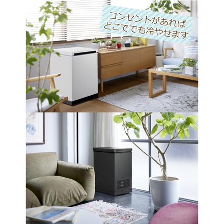 SANKA 冷やすゴミ箱 CLEAN BOX L 38L ホワイト SCB-040WH
