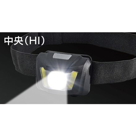 ELPA LED ヘッドライト DOP-HD701