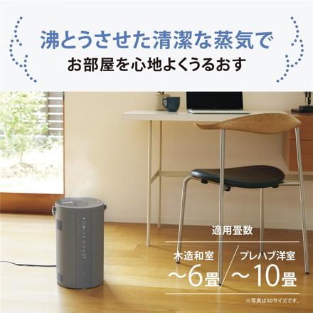 象印 スチーム式加湿器 3.0L EE-DG35 グレー お試し用ピカポット付き