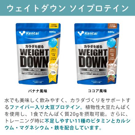 健康体力研究所 kentai ウェイトダウンソイ ココア風味 880g × 3袋 ウェイトダウンファイア シェイカー スポンジ 6点セット