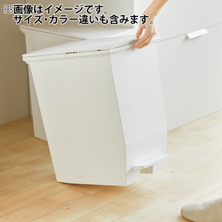 リス SOLOW ソロウ ペダルオープンツイン 20L ゴミ箱 ブラック 177432 2個セット